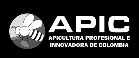 Apic